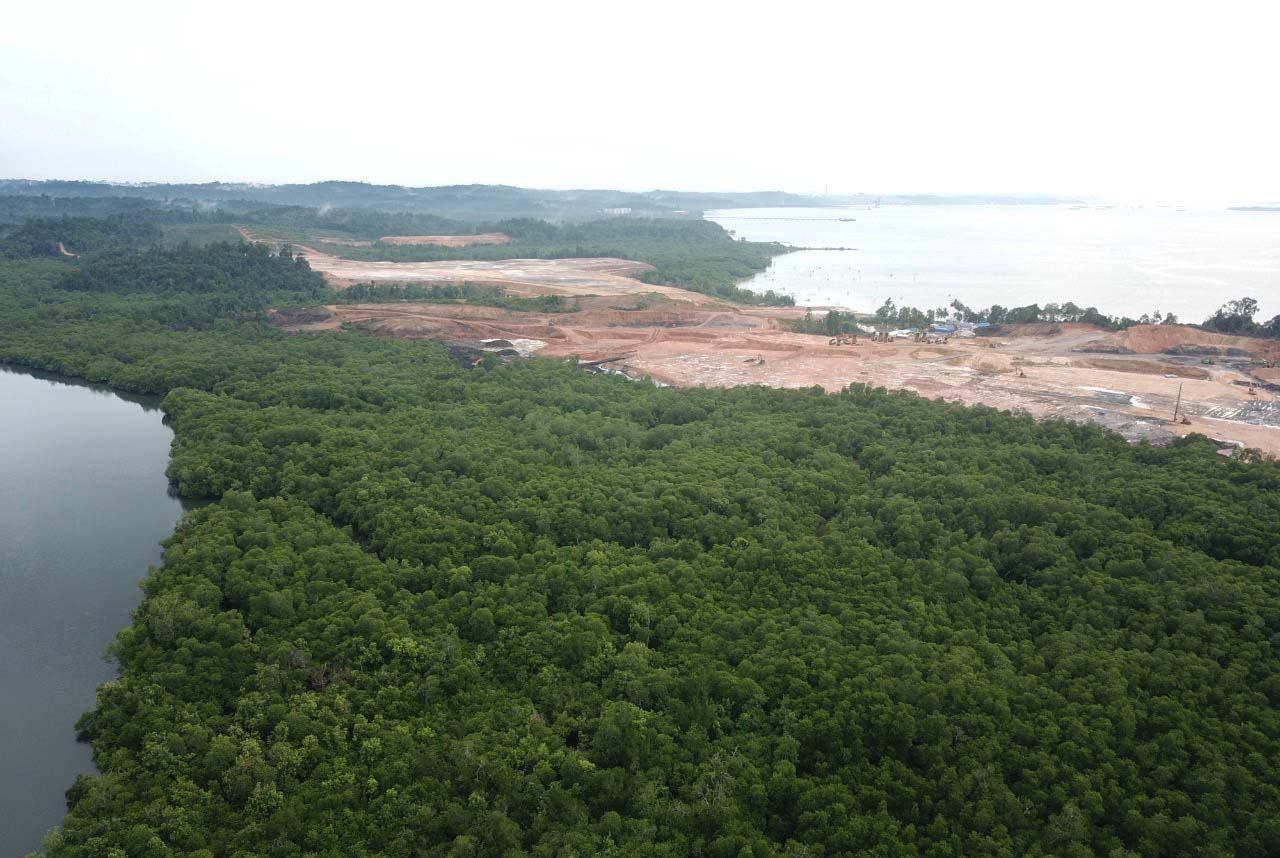 Pembukan-mangrove-pt-MMP-Pokja-Pesisir