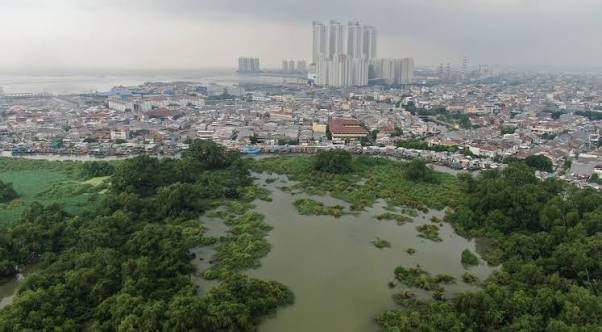 Analisa Spasial Tekanan Perkotaan terhadap Ekosistem Mangrove Muara Angke 